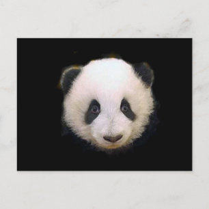 Baby Panda Briefkaart