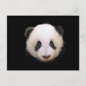 Baby Panda Briefkaart (Voorkant)