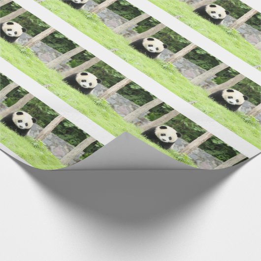 Baby Panda Cadeaupapier (Hoek)