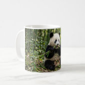 Baby Panda die Bamboe Eet Koffiemok (Voorkant links)