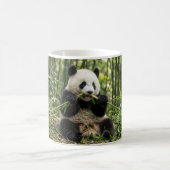 Baby Panda die Bamboe Eet Koffiemok (Center)
