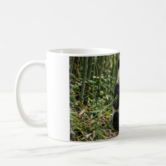 Baby Panda die Bamboe Eet Koffiemok (Links)