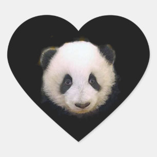 Baby Panda Hart Sticker