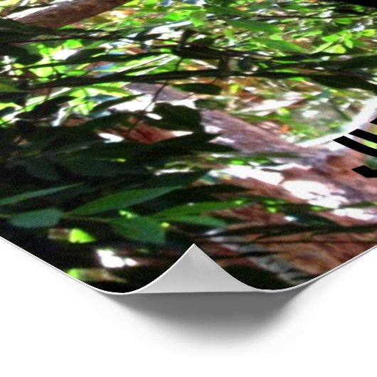 Baby Panda Humoureus Poster (Hoek)