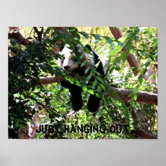 Baby Panda Humoureus Poster