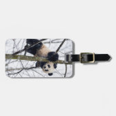 Baby Panda in Boom Bagagelabel (Voorkant horizontaal)