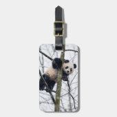 Baby Panda in Boom Bagagelabel (Voorkant verticaal)