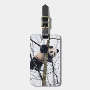 Baby Panda in Boom Bagagelabel