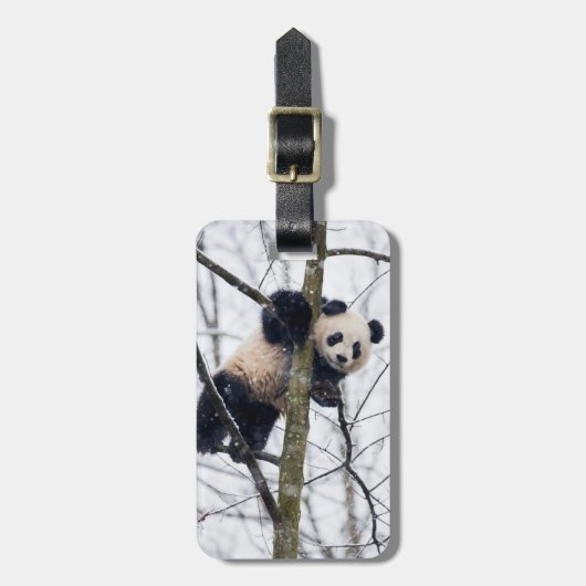 Baby Panda in Boom Bagagelabel (Voorkant verticaal)