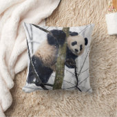 Baby Panda in Boom Kussen (Deken)