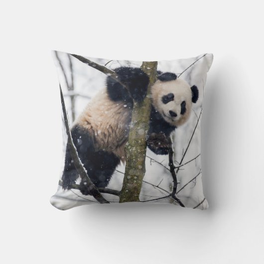 Baby Panda in Boom Kussen (Voorkant)