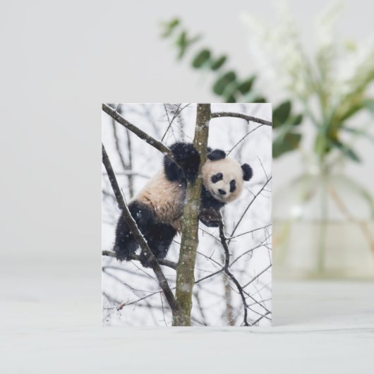 Baby Panda in de boom Briefkaart (Staand voorkant)
