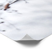 Baby Panda in de boom Poster (Hoek)