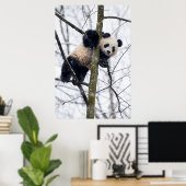 Baby Panda in de boom Poster (Thuiskantoor)