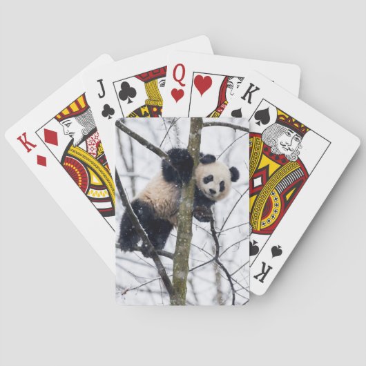 Baby Panda in de boom Speelkaarten (Achterkant)