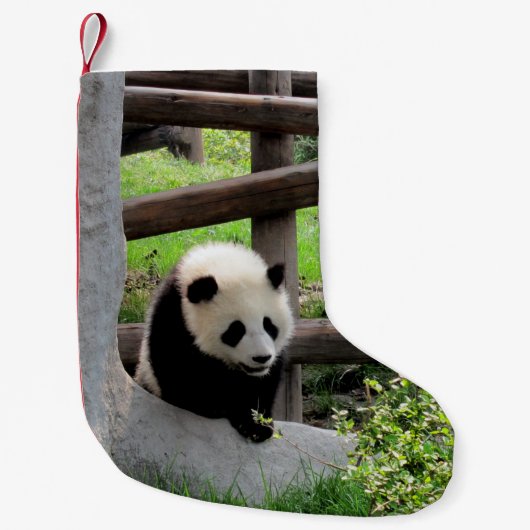 Baby Panda Kleine Kerstsok (Voorkant)