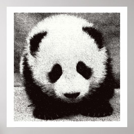 Baby Panda Kunst Posters Prints (Voorkant)