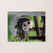Baby Panda Legpuzzel (Horizontaal)