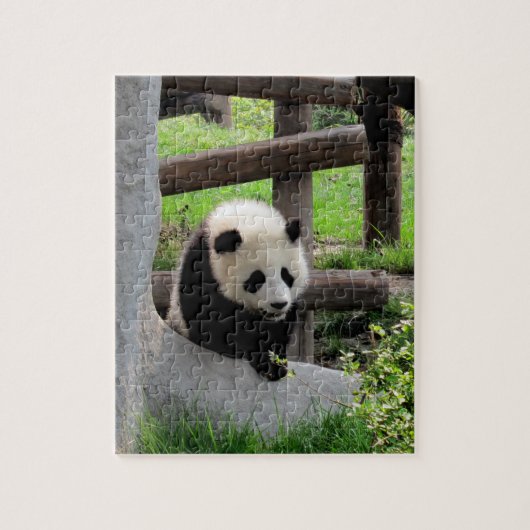 Baby Panda Legpuzzel (Verticaal)