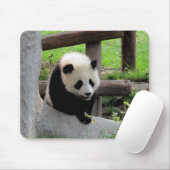 Baby Panda Muismat (Met muis)