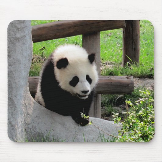 Baby Panda Muismat (Voorkant)