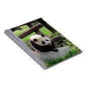 Baby Panda Notitieboek (Rechterzijde)