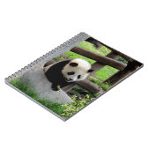 Baby Panda Notitieboek (Linkerzijde)