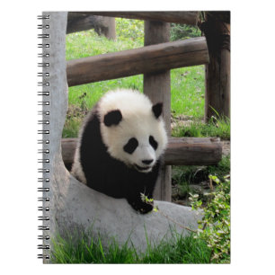 Baby Panda Notitieboek