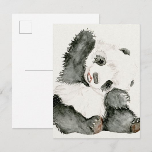 Baby Panda | Schuine en gier Briefkaart (Voorkant / Achterkant)