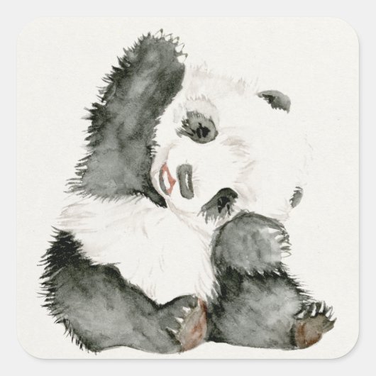 Baby Panda | Schuine en gier Vierkante Sticker (Voorkant)