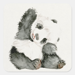 Baby Panda   Schuine en gier Vierkante Sticker