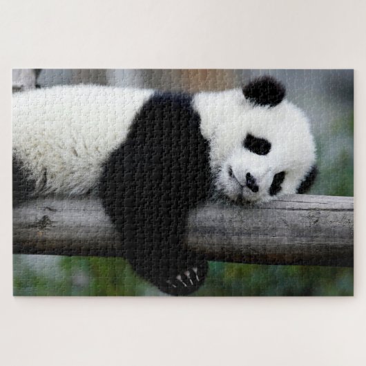 Baby Panda slaapt op een boom, Jigzaag Puzzle Legpuzzel (Horizontaal)
