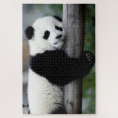Baby Panda slaapt op een boom, Jigzaag Puzzle Legpuzzel (Verticaal)