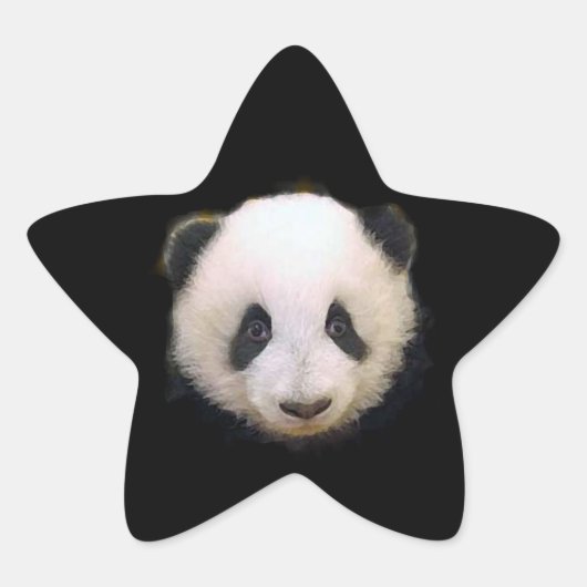 Baby Panda Star Sticker (Voorkant)