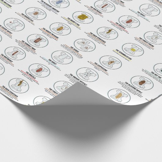 Baby papier voor het oppakken van poep (Hoek)