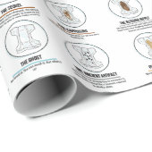 Baby papier voor het oppakken van poep (Rol Hoek)