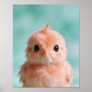 Baby Pauw Portret Kinderkamer Muur Kunst Poster