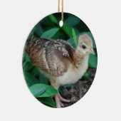 Baby Peacock Chick Ornament (Rechts)