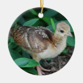 Baby Peacock Chick Ornament (Voorkant)