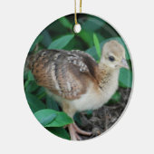 Baby Peacock Chick Ornament (Links)