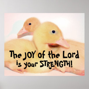 Baby Pekin Duck Ducking Bird Pet Poster