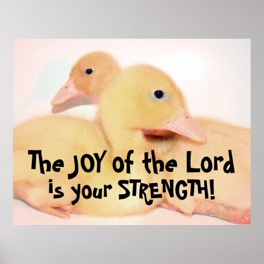 Baby Pekin Duck Ducking Bird Pet Poster (Voorkant)