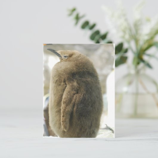 Baby Penguin Briefkaart (Staand voorkant)