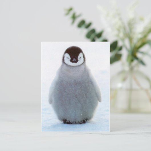 Baby Penguin Briefkaart (Staand voorkant)