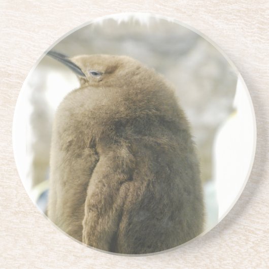 Baby Penguin Onderzetters (Voorkant)