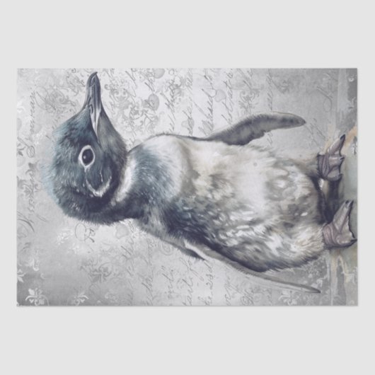 Baby Penguin Tissuepapier (Voorkant)