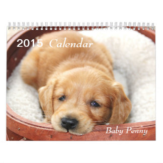baby Penny Calendar 2015 Kalender