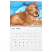 baby Penny Calendar 2015 Kalender (Mar 2027)