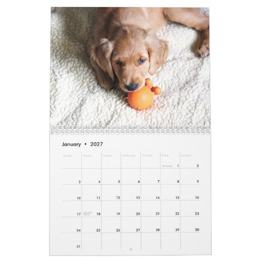 baby Penny Calendar 2015 Kalender (Jan 2027)
