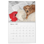 baby Penny Calendar 2015 Kalender (Feb 2027)